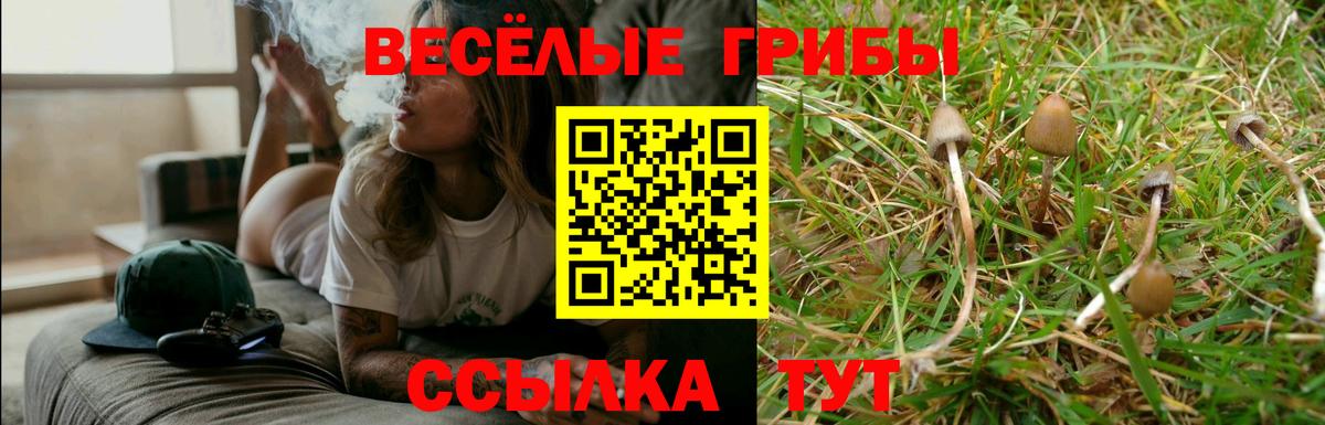 Псилоцибиновые грибы мухоморы  Вход с VPN  Ачхой-Мартан 